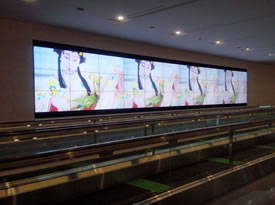 東京国際線エアーターミナル出国ロビーにて「桜」が放映